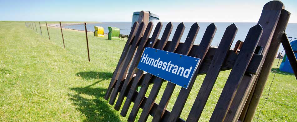 Einer der Hundestrände auf der Nordseeinsel Pellworm. ferien-mit-hund-nordsee-im-ferienhaus